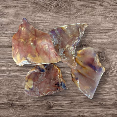 pig ear